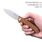 SENCUT Scepter Flipper &Thumb Stud Knife Brown Micarta Handle (2.97 Stonewashed 9Cr18MoV Blade) SA03D - SENCUT